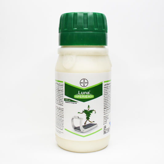 Bayer Luna Experiance